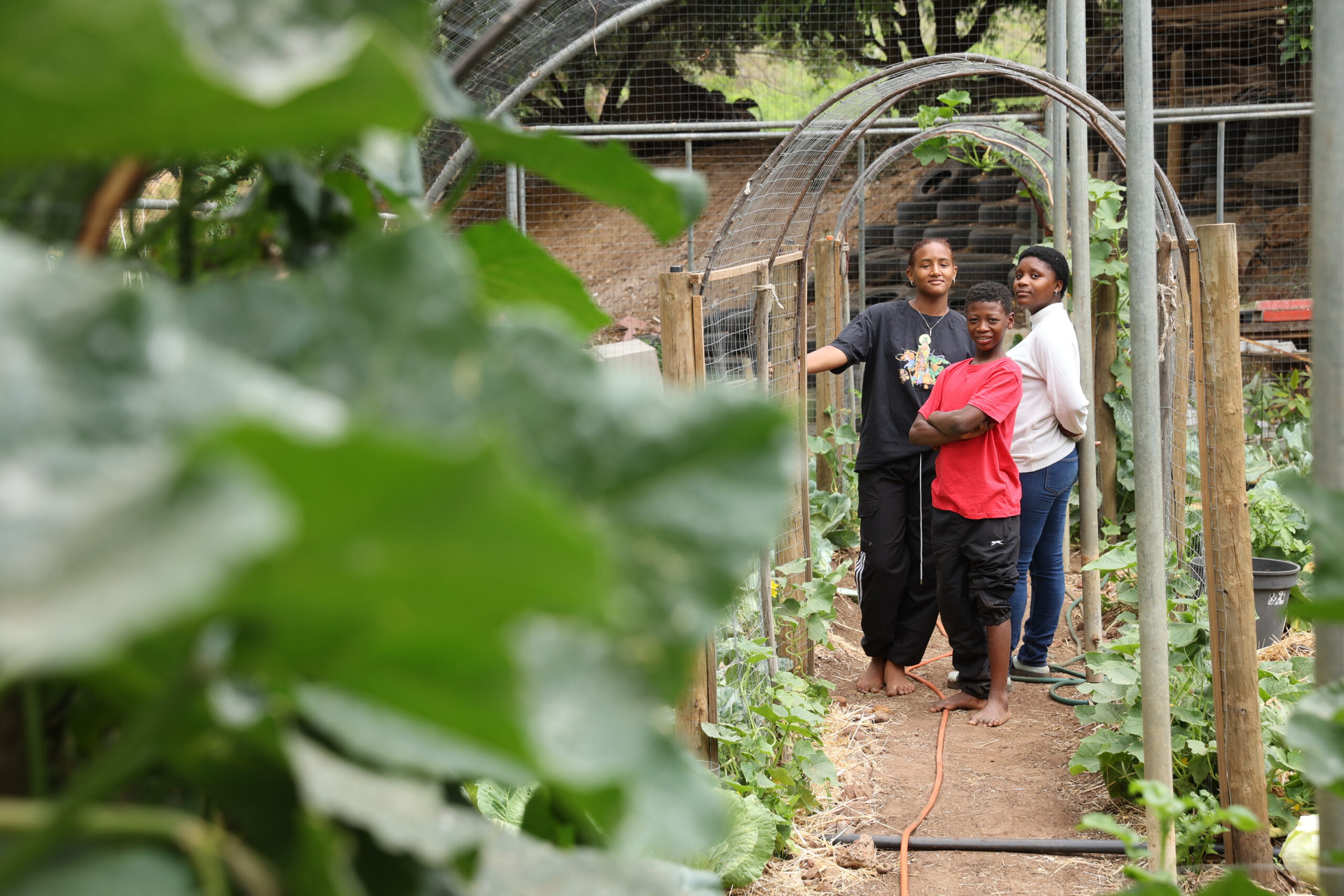 GLO Project — Our Story